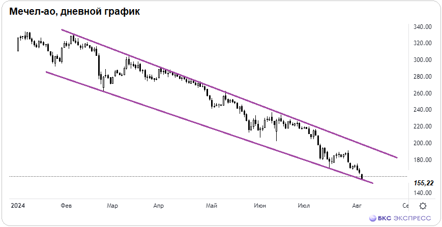 Акции Мечела впереди всех